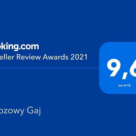 Brzozowy Gaj Bed & Breakfast Glowczyce Exterior foto