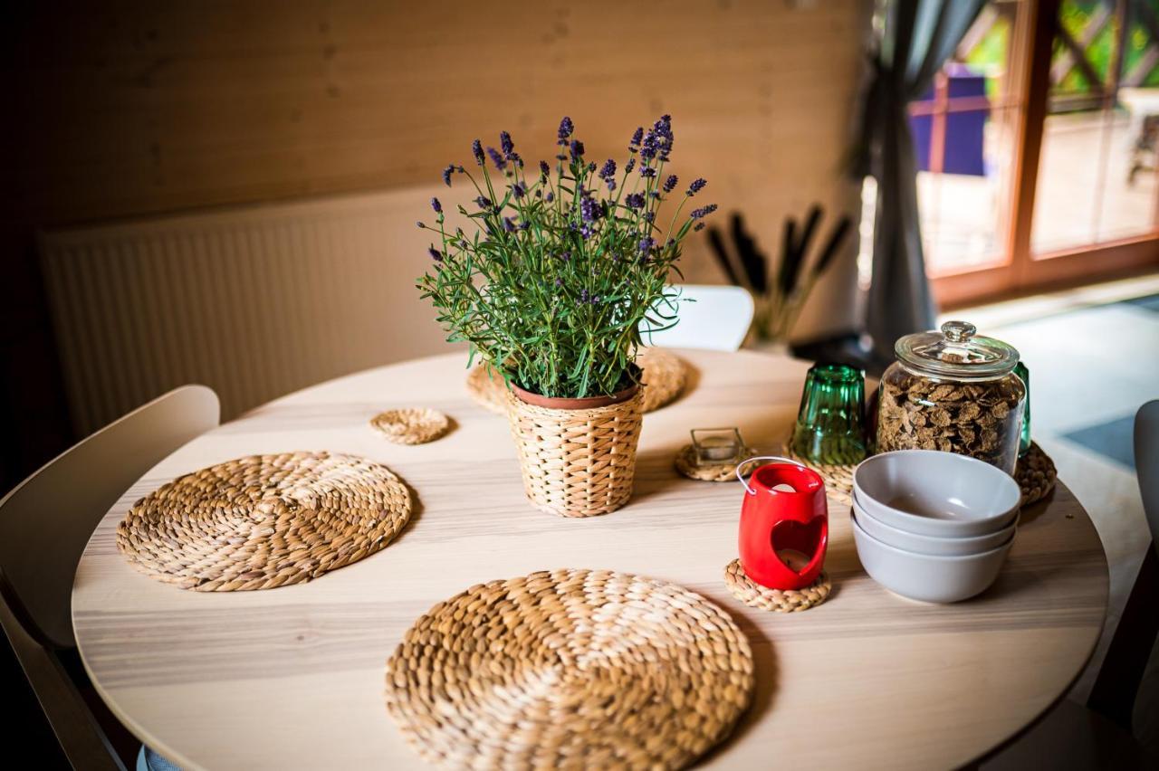 Brzozowy Gaj Bed & Breakfast Glowczyce Exterior foto