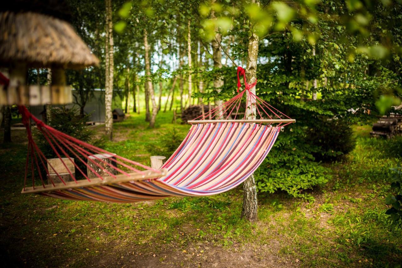 Brzozowy Gaj Bed & Breakfast Glowczyce Exterior foto