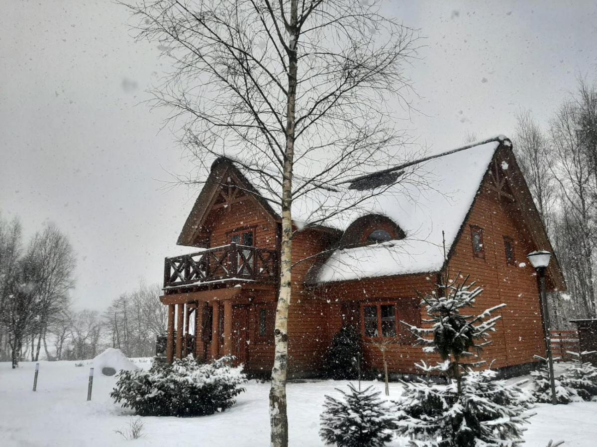 Brzozowy Gaj Bed & Breakfast Glowczyce Exterior foto