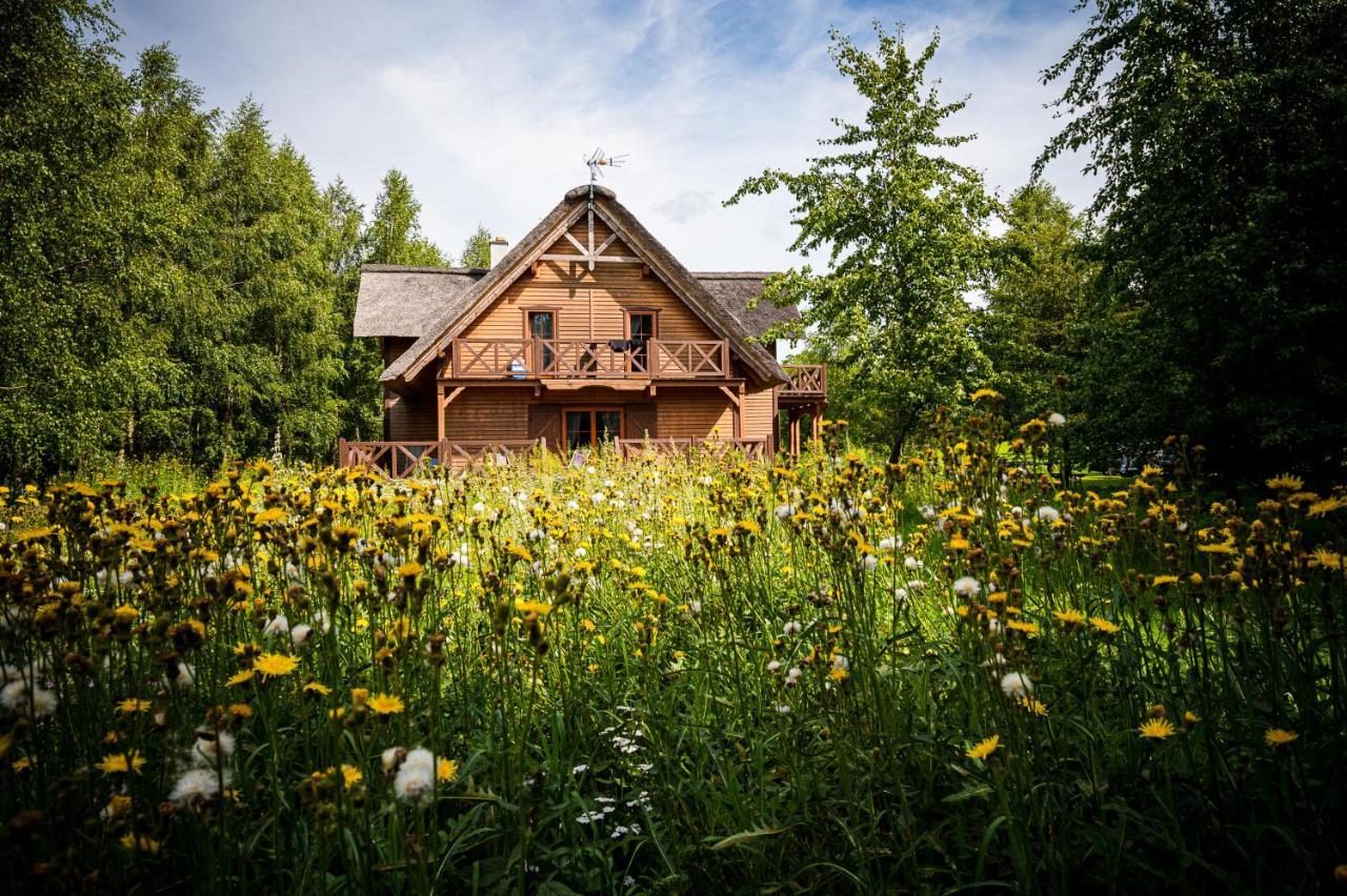 Brzozowy Gaj Bed & Breakfast Glowczyce Exterior foto