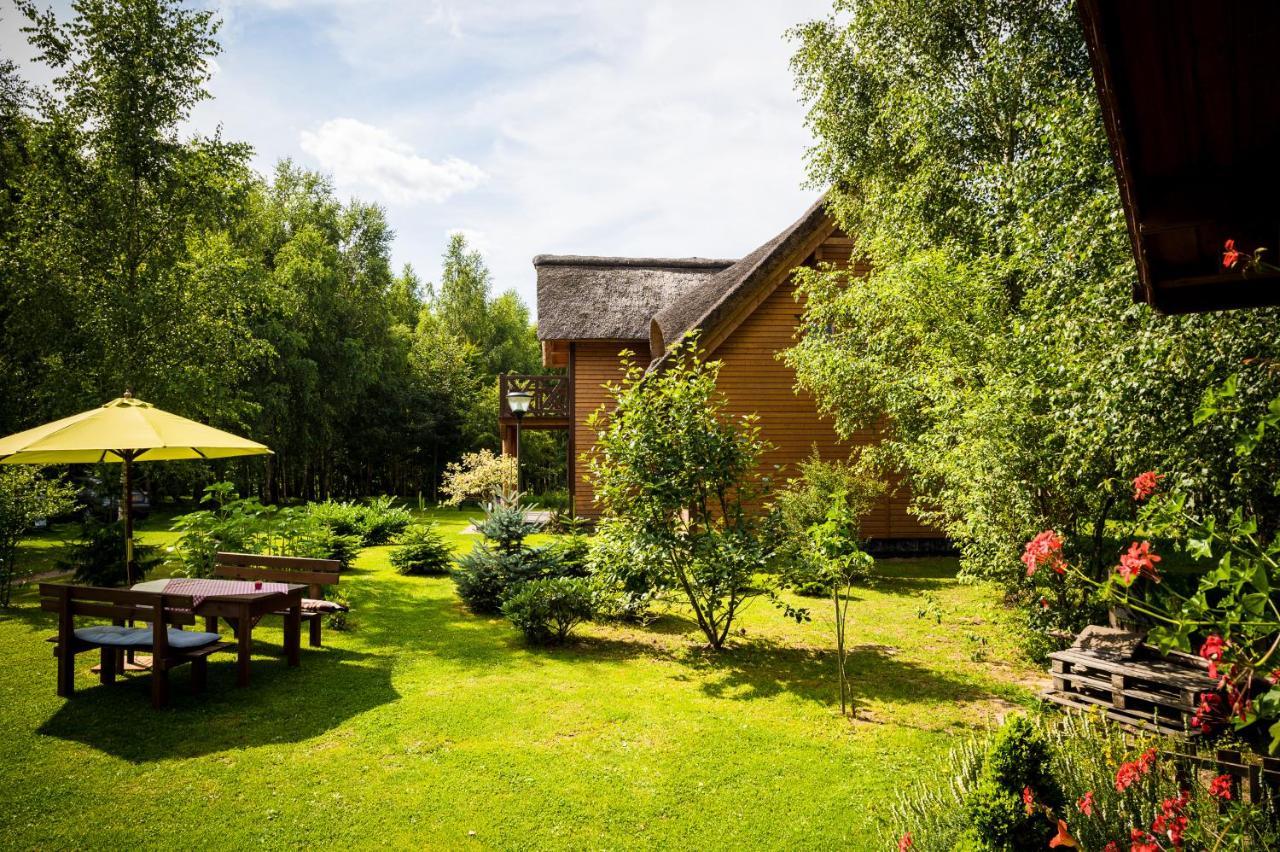 Brzozowy Gaj Bed & Breakfast Glowczyce Exterior foto