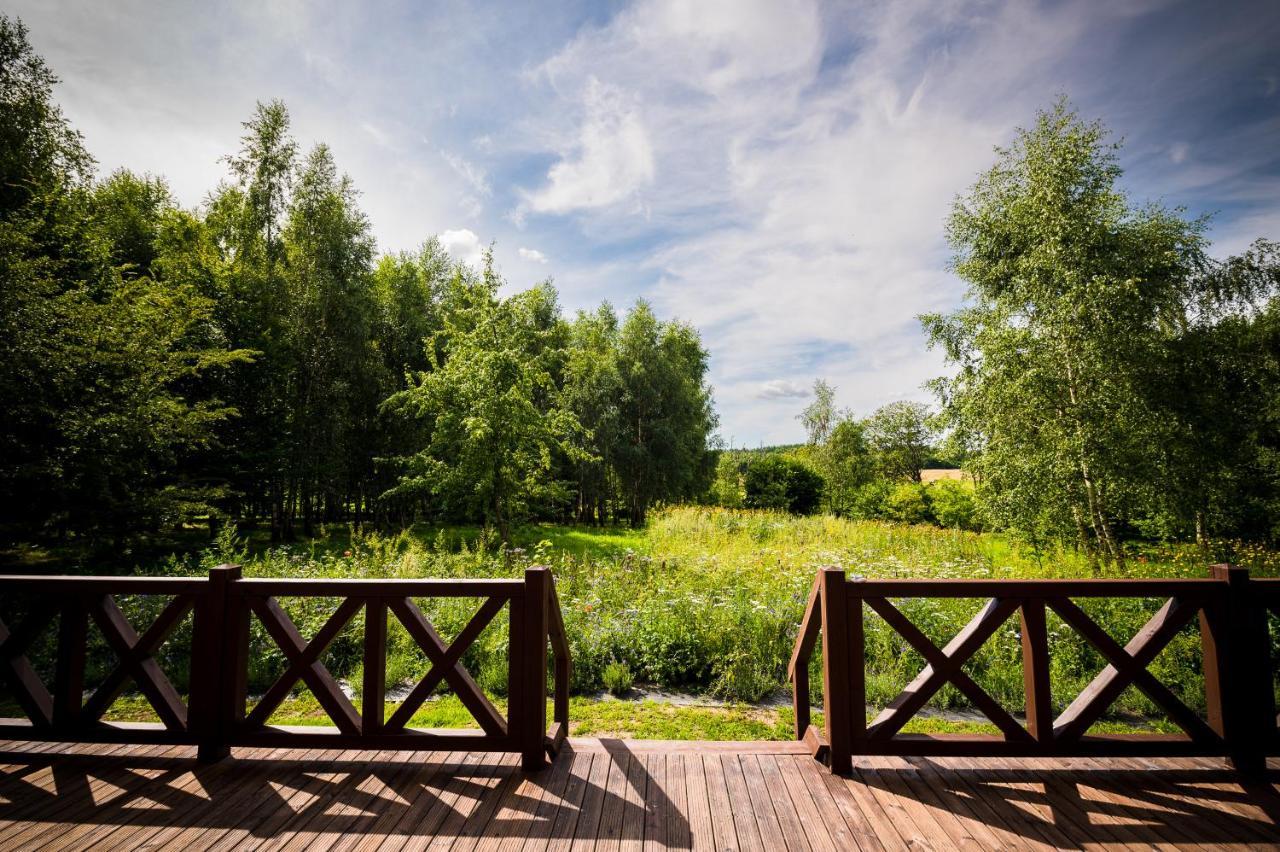 Brzozowy Gaj Bed & Breakfast Glowczyce Exterior foto